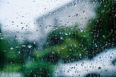 Грозовые дожди с градом ждут Волгоградскую область в выходные