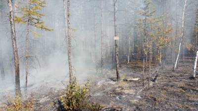 В районе Якутска тушат два лесных пожара