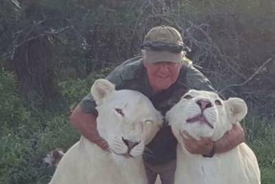 Львицы убили спасшего их много лет назад хозяина