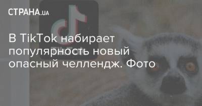 В TikTok набирает популярность новый опасный челлендж. Фото - strana.ua - США