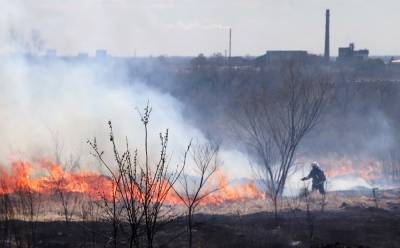Два крупных лесных пожара тушат под Якутском