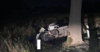 В Зеленоградском районе легковушка врезалась в дерево, водитель погиб