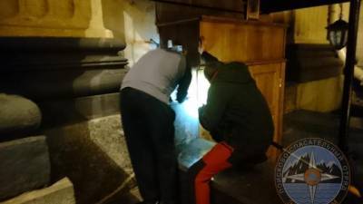 Спасатели вытащили из щели у коллонады Казанского собора застрявшего котенка