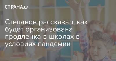 Степанов рассказал, как будет организована продленка в школах в условиях пандемии