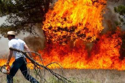 В Испании бушует лесной пожар, эвакуировали 250 человек