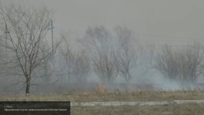 Пожар уничтожил 10 тыс га степной растительности в Оренбуржье