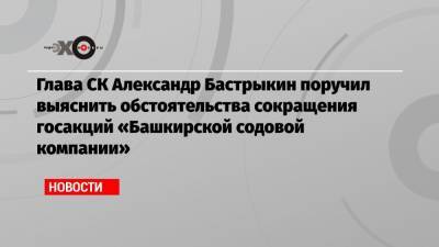 Глава СК Александр Бастрыкин поручил выяснить обстоятельства сокращения госакций «Башкирской содовой компании»