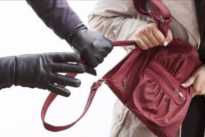 Безработный грабитель выхватил сумку у женщины в Тверской области