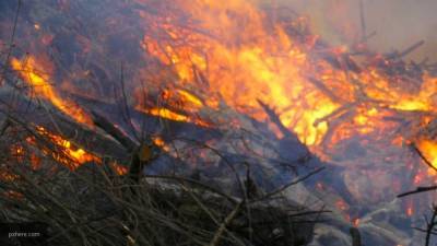 Пожар уничтожил примерно 10 тысяч гектаров степей Оренбургской области