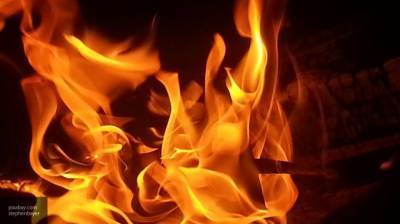 Крупный степной пожар уничтожил 10 тыс. га в Оренбургской области