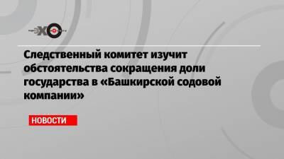 Следственный комитет изучит обстоятельства сокращения доли государства в «Башкирской содовой компании»