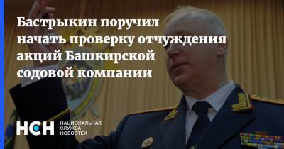 Бастрыкин поручил начать проверку отчуждения акций Башкирской содовой компании