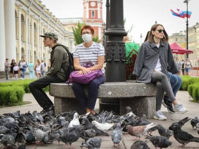 В Петербурге прямо задержали активистку, которая печатала плакаты для акции «Кормим голубей»