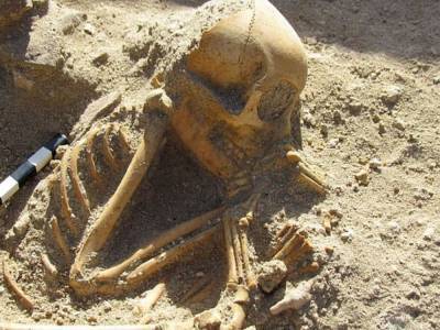 Словно спящие дети: Археологи раскопали в Египте странное кладбище домашних животных