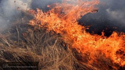 Пожар во французской коммуне Монтгуэрс уничтожил 200 гектаров леса