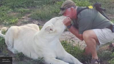 Защитника природы в ЮАР растерзали спасенные им львы