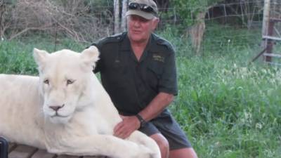 Спасенные львицы убили приютившего их зоозащитника