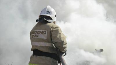 На пожарах в Крыму спасли из огня двух человек