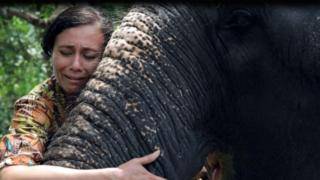 "Они мучают слонов, а потом проливают крокодиловы слезы". Что делают со слонами в Индии
