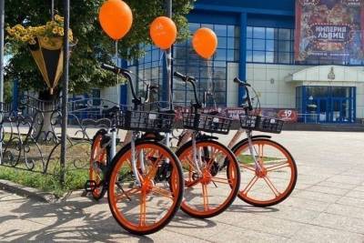 Тюменцам предлагают велосипеды напрокат