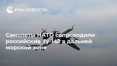Самолеты НАТО сопроводили российские Ту-142 в дальней морской зоне
