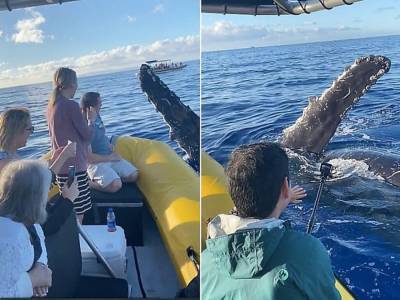Дружелюбный кит поздоровался с туристами на лодке