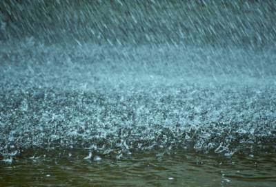 Штормовое предупреждение объявили в Ленобласти из-за сильных дождей