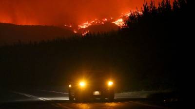 В России за сутки ликвидировано 35 лесных пожаров