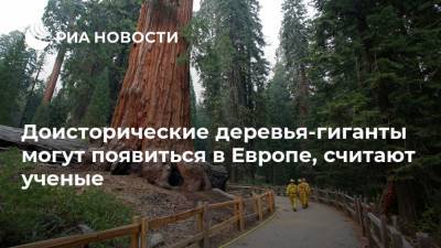 Доисторические деревья-гиганты могут появиться в Европе, считают ученые - ria.ru - Европа