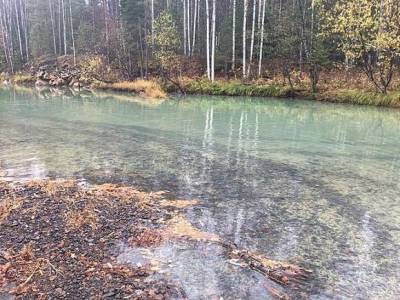 В Приамурье ищут виновника загрязнения реки нефтепродуктами