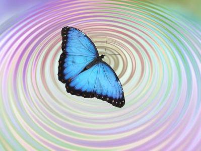 Американские ученые создали симуляцию путешествия во времени и опровергли гипотезу «эффекта бабочки»