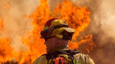 Масштабный лесной пожар в Калифорнии: эвакуировано почти 8 тысяч человек