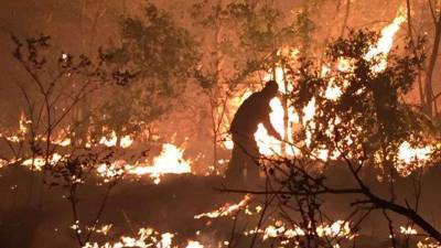 Сотрудники КЧС тушат природные пожары в нескольких областях Казахстана