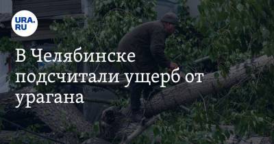 В Челябинске подсчитали ущерб от урагана
