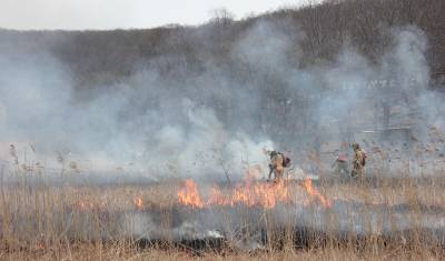 В ХМАО огнеборцы побеждают лесные пожары