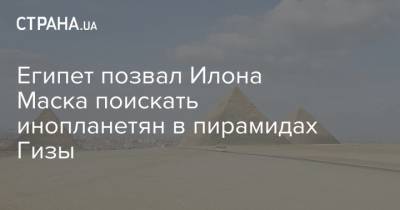 Египет позвал Илона Маска поискать инопланетян в пирамидах Гизы