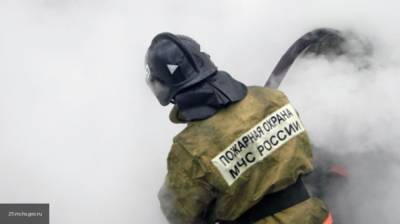 Охваченный огнем ресторан в Нижневартовске засняли на видео