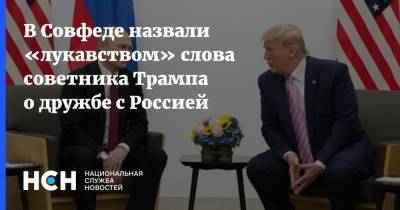В Совфеде назвали «лукавством» слова советника Трампа о дружбе с Россией
