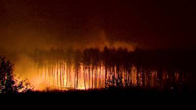 Огненный апокалипсис. Как Воронежскую область спасали от страшных пожаров 2010 года