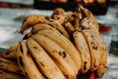 Крупную партию кокаина нашли в контейнере с бананами на Украине