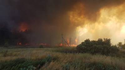 В полтора раза выросла площадь лесных пожаров в Воронеже
