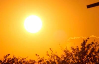Оранжевый уровень опасности объявлен в Беларуси на вторник 4 августа из-за жары