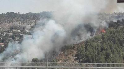 Возле Иерусалима бушует сильный пожар, начата эвакуация
