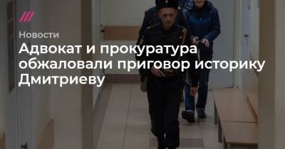 Адвокат и прокуратура обжаловали приговор историку Дмитриеву