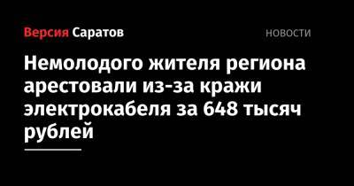 Немолодого жителя региона арестовали из-за кражи электрокабеля за 648 тысяч рублей