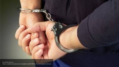 Полиция в Омске задержала мужчину по подозрению в нападениях на детей