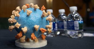 ВОЗ согласовала проведение расследования о происхождении коронавируса