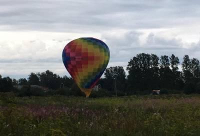 Видео: воздушный шар совершил аварийную посадку у деревни Разбегаево