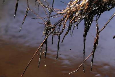В Усинском районе Коми произошёл разлив нефти
