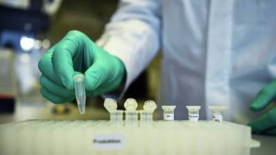 В Португалии за сутки не зафиксировано смертей от коронавируса